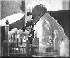 Reich with microscope