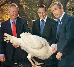 george_w_bush_turkey_shrunk