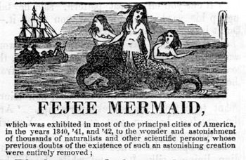 mermaid-feejee3