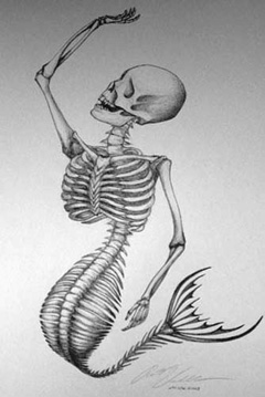 mermaid-skeleton-sm