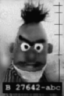 bert