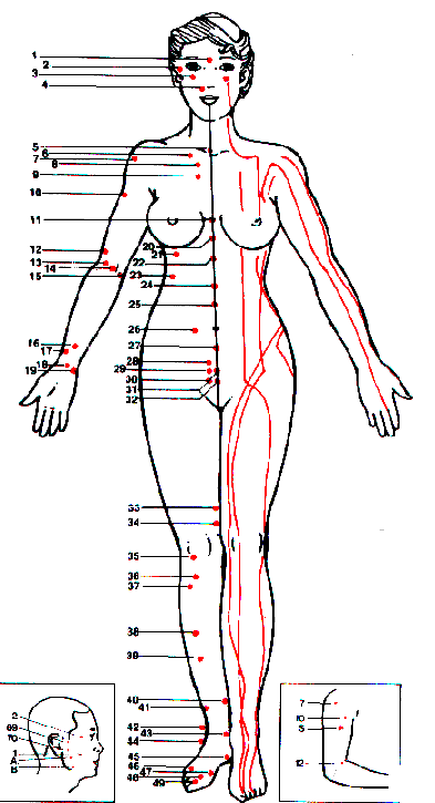 acupuncture2