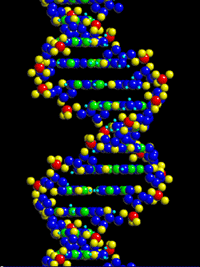 dna