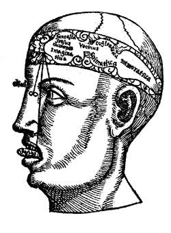 tdcs9