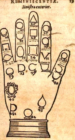 palm3