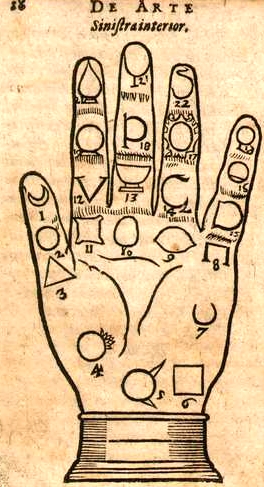 palm3a