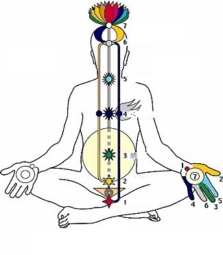 chakras2